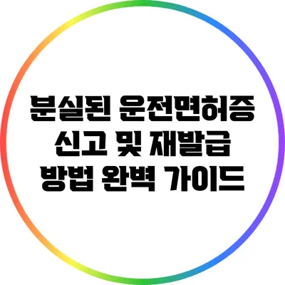 분실된 운전면허증 신고 및 재발급 방법 완벽 가이드