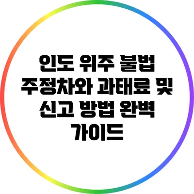인도 위주 불법 주정차와 과태료 및 신고 방법 완벽 가이드