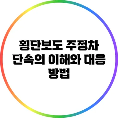 횡단보도 주정차 단속의 이해와 대응 방법