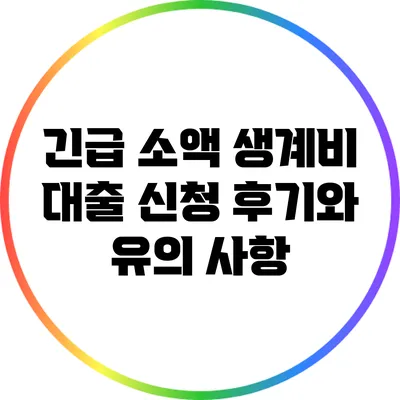 긴급 소액 생계비 대출 신청 후기와 유의 사항