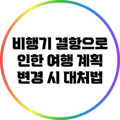 비행기 결항으로 인한 여행 계획 변경 시 대처법