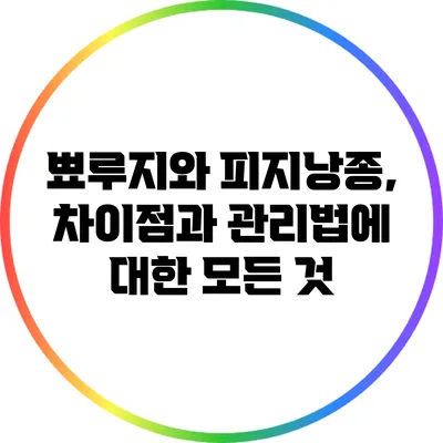 뾰루지와 피지낭종, 차이점과 관리법에 대한 모든 것