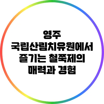 영주 국립산림치유원에서 즐기는 철쭉제의 매력과 경험