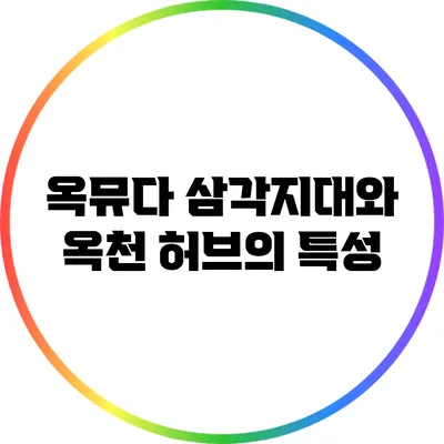 옥뮤다 삼각지대와 옥천 허브의 특성