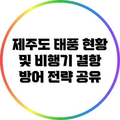 제주도 태풍 현황 및 비행기 결항 방어 전략 공유