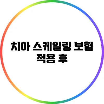 치아 스케일링 보험 적용 후