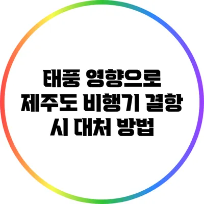 태풍 영향으로 제주도 비행기 결항 시 대처 방법