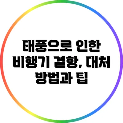 태풍으로 인한 비행기 결항, 대처 방법과 팁