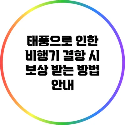 태풍으로 인한 비행기 결항 시 보상 받는 방법 안내