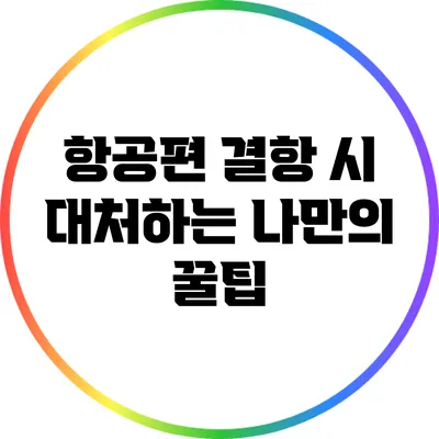 항공편 결항 시 대처하는 나만의 꿀팁