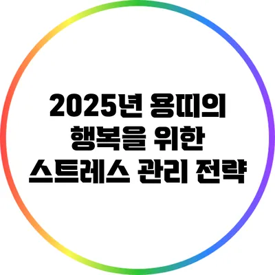 2025년 용띠의 행복을 위한 스트레스 관리 전략