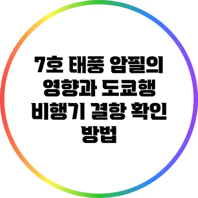 7호 태풍 암필의 영향과 도쿄행 비행기 결항 확인 방법