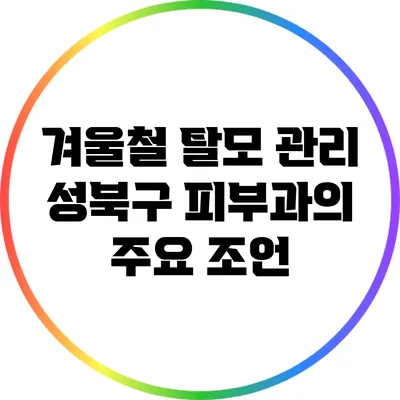겨울철 탈모 관리: 성북구 피부과의 주요 조언