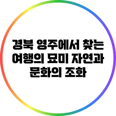 경북 영주에서 찾는 여행의 묘미: 자연과 문화의 조화