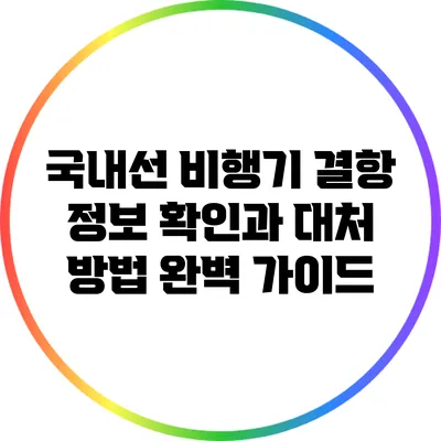 국내선 비행기 결항 정보 확인과 대처 방법 완벽 가이드