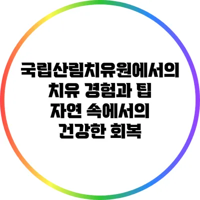 국립산림치유원에서의 치유 경험과 팁: 자연 속에서의 건강한 회복