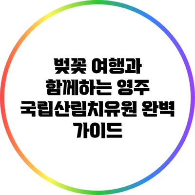 벚꽃 여행과 함께하는 영주 국립산림치유원 완벽 가이드