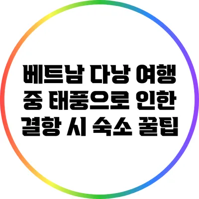베트남 다낭 여행 중 태풍으로 인한 결항 시 숙소 꿀팁