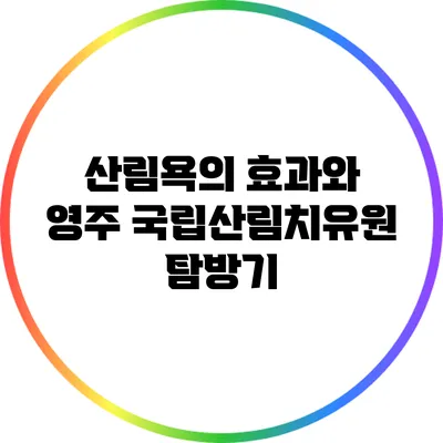 산림욕의 효과와 영주 국립산림치유원 탐방기