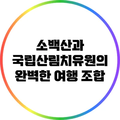 소백산과 국립산림치유원의 완벽한 여행 조합