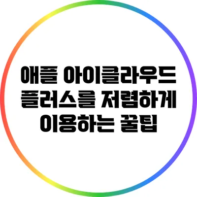 애플 아이클라우드 플러스를 저렴하게 이용하는 꿀팁