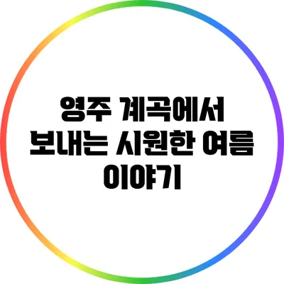 영주 계곡에서 보내는 시원한 여름 이야기