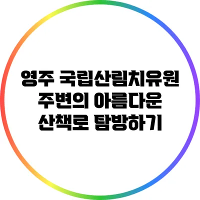 영주 국립산림치유원 주변의 아름다운 산책로 탐방하기