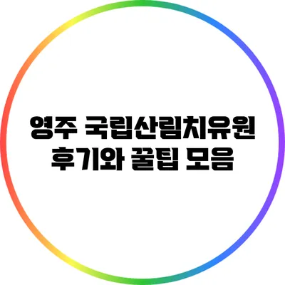 영주 국립산림치유원 후기와 꿀팁 모음