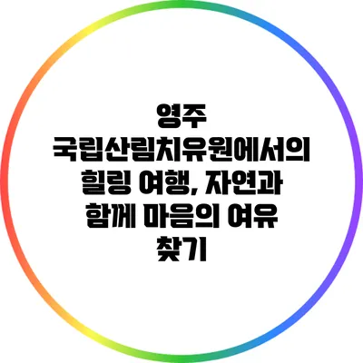 영주 국립산림치유원에서의 힐링 여행, 자연과 함께 마음의 여유 찾기