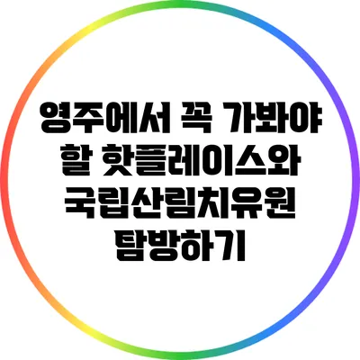 영주에서 꼭 가봐야 할 핫플레이스와 국립산림치유원 탐방하기