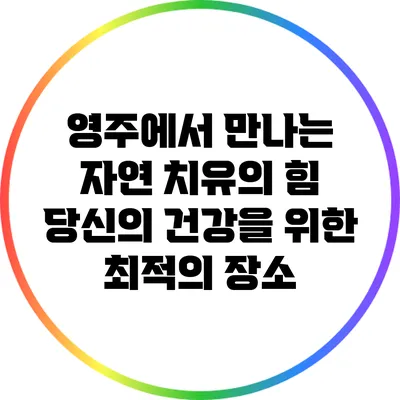 영주에서 만나는 자연 치유의 힘: 당신의 건강을 위한 최적의 장소