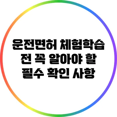 운전면허 체험학습 전 꼭 알아야 할 필수 확인 사항