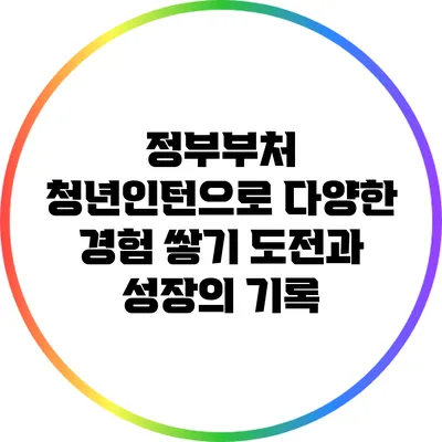 정부부처 청년인턴으로 다양한 경험 쌓기: 도전과 성장의 기록