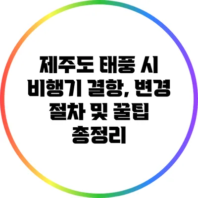 제주도 태풍 시 비행기 결항, 변경 절차 및 꿀팁 총정리