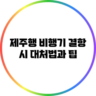 제주행 비행기 결항 시 대처법과 팁