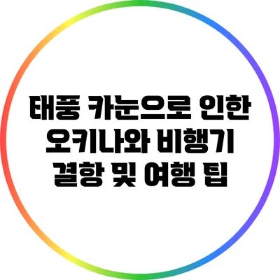 태풍 카눈으로 인한 오키나와 비행기 결항 및 여행 팁