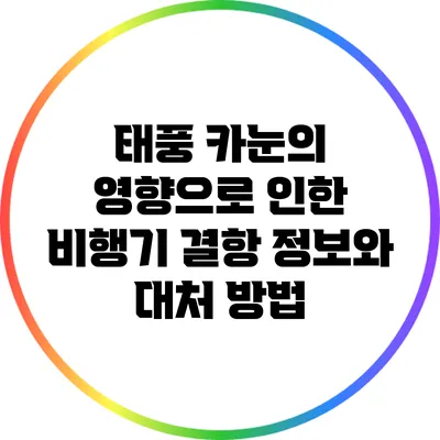 태풍 카눈의 영향으로 인한 비행기 결항 정보와 대처 방법
