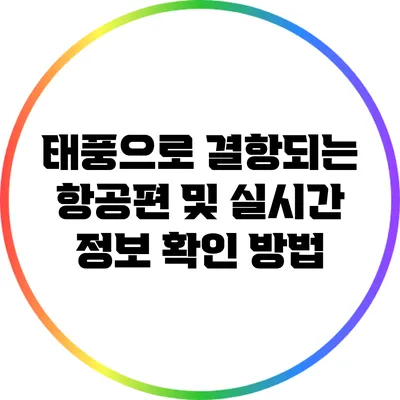 태풍으로 결항되는 항공편 및 실시간 정보 확인 방법