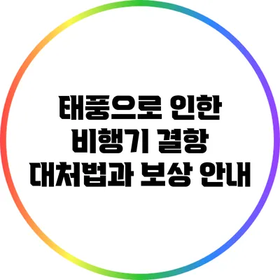 태풍으로 인한 비행기 결항 대처법과 보상 안내