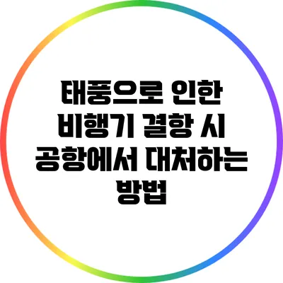태풍으로 인한 비행기 결항 시 공항에서 대처하는 방법
