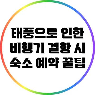 태풍으로 인한 비행기 결항 시 숙소 예약 꿀팁
