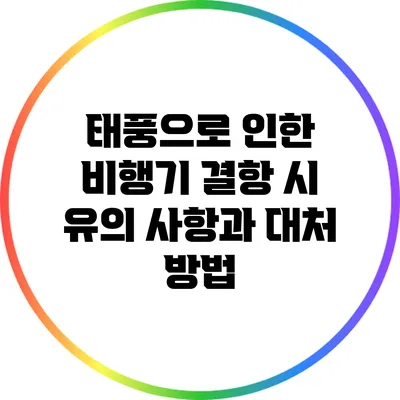 태풍으로 인한 비행기 결항 시 유의 사항과 대처 방법