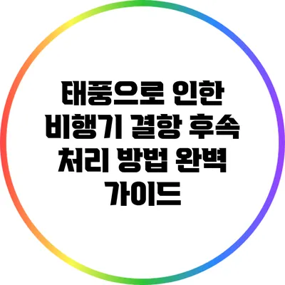 태풍으로 인한 비행기 결항 후속 처리 방법 완벽 가이드