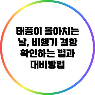 태풍이 몰아치는 날, 비행기 결항 확인하는 법과 대비방법
