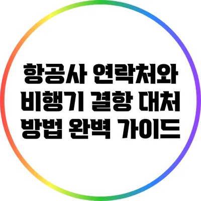 항공사 연락처와 비행기 결항 대처 방법 완벽 가이드