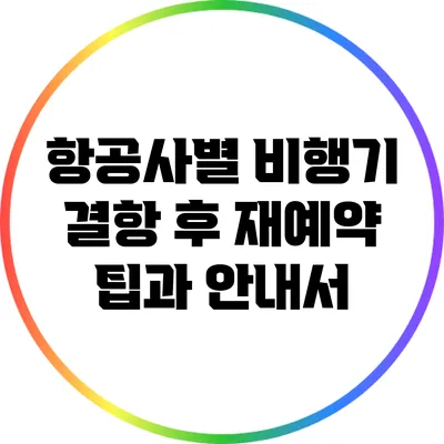 항공사별 비행기 결항 후 재예약 팁과 안내서