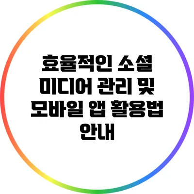 효율적인 소셜 미디어 관리 및 모바일 앱 활용법 안내