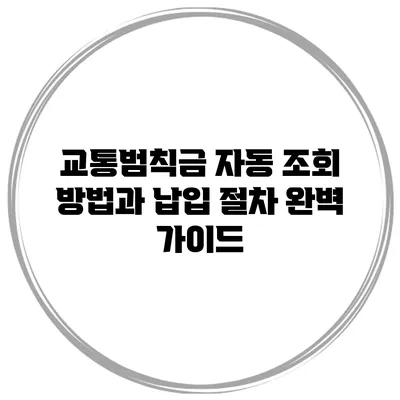교통범칙금 자동 조회 방법과 납입 절차 완벽 가이드