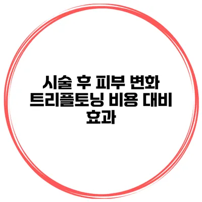 시술 후 피부 변화 트리플토닝 비용 대비 효과
