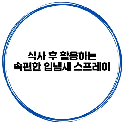 식사 후 활용하는 속편한 입냄새 스프레이